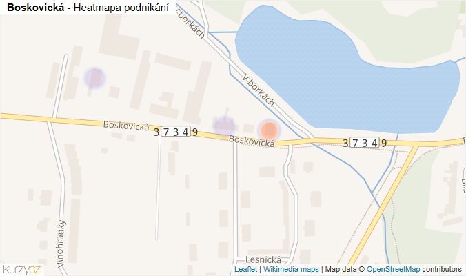 Mapa Boskovická - Firmy v ulici.
