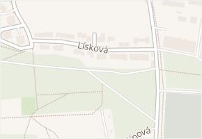 Lísková v obci Plzeň - mapa ulice