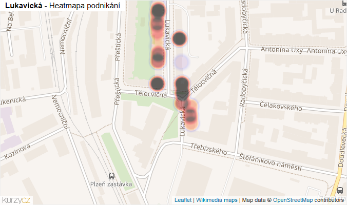 Mapa Lukavická - Firmy v ulici.