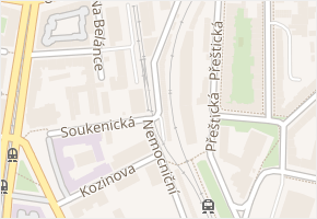 Na Koreji v obci Plzeň - mapa ulice