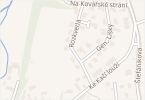 Rozkvetlá v obci Plzeň - mapa ulice