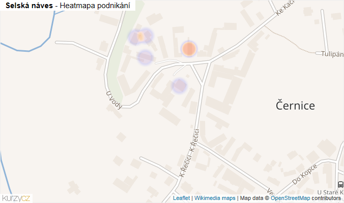 Mapa Selská náves - Firmy v ulici.