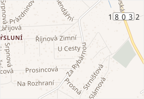 U Cesty v obci Plzeň - mapa ulice