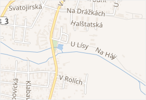 U Lísy v obci Plzeň - mapa ulice