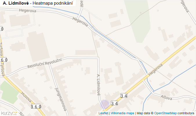 Mapa A. Lidmilové - Firmy v ulici.