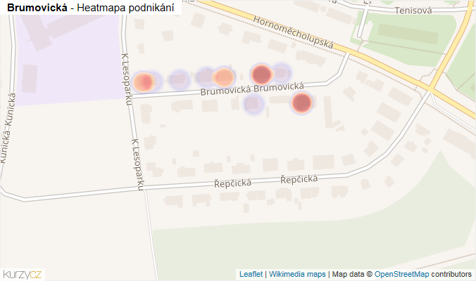 Mapa Brumovická - Firmy v ulici.