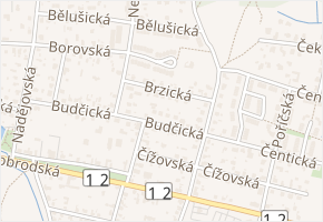 Brzická v obci Praha - mapa ulice