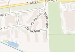 Kamelova v obci Praha - mapa ulice