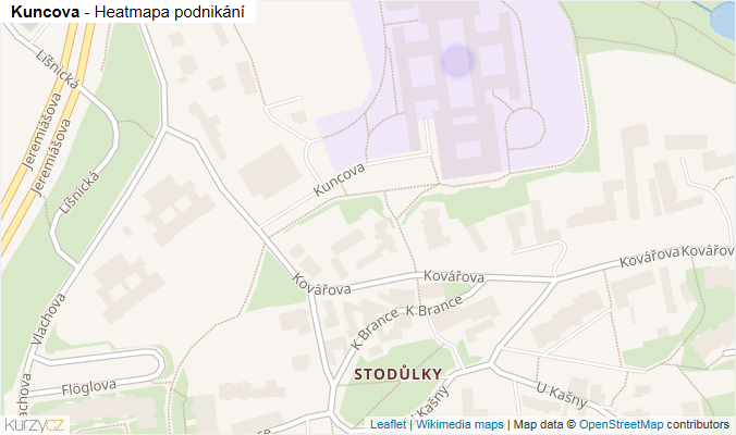 Mapa Kuncova - Firmy v ulici.