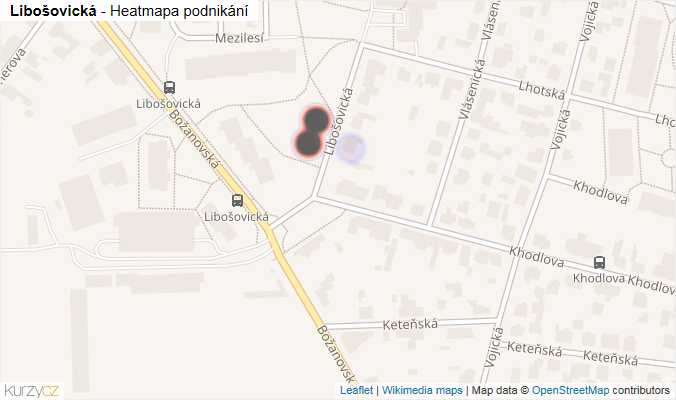 Mapa Libošovická - Firmy v ulici.