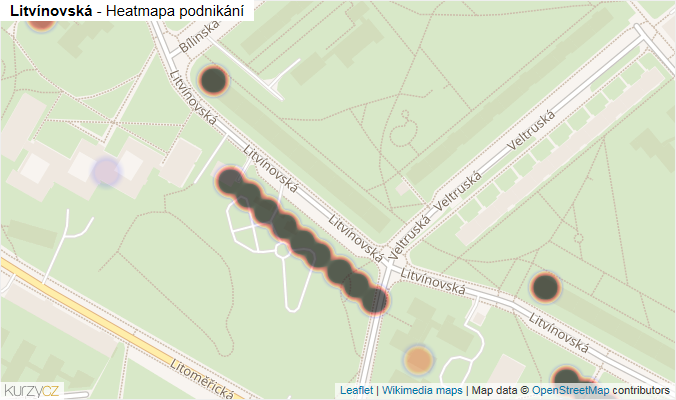Mapa Litvínovská - Firmy v ulici.