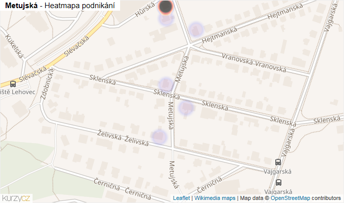 Mapa Metujská - Firmy v ulici.