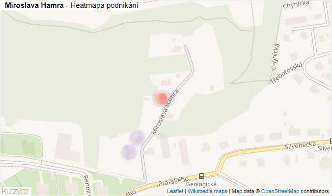 Mapa Miroslava Hamra - Firmy v ulici.