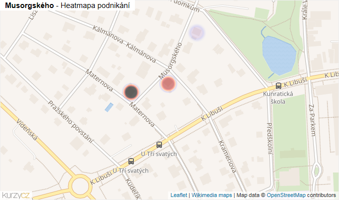 Mapa Musorgského - Firmy v ulici.