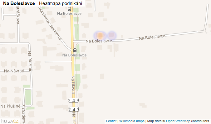Mapa Na Boleslavce - Firmy v ulici.