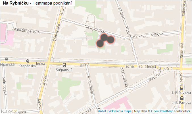 Mapa Na Rybníčku - Firmy v ulici.