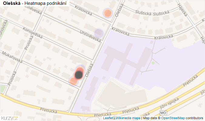 Mapa Olešská - Firmy v ulici.