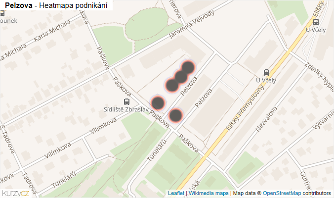 Mapa Pelzova - Firmy v ulici.