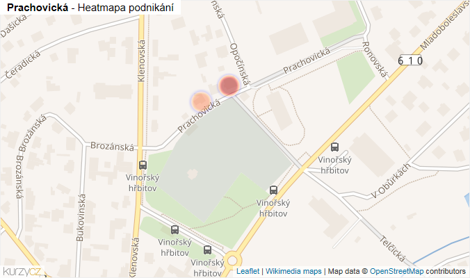 Mapa Prachovická - Firmy v ulici.