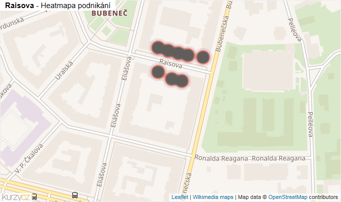 Mapa Raisova - Firmy v ulici.