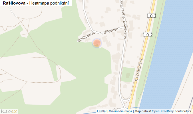 Mapa Rašilovova - Firmy v ulici.