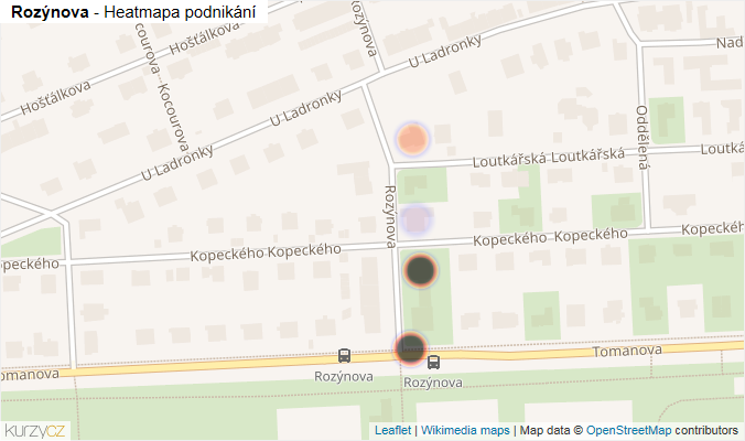 Mapa Rozýnova - Firmy v ulici.