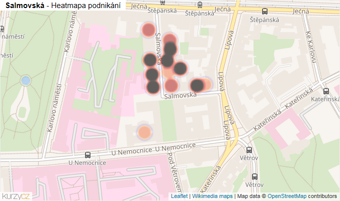 Mapa Salmovská - Firmy v ulici.