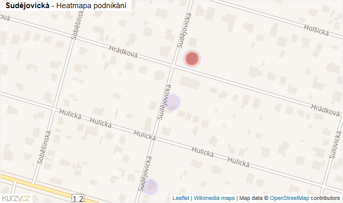 Mapa Sudějovická - Firmy v ulici.