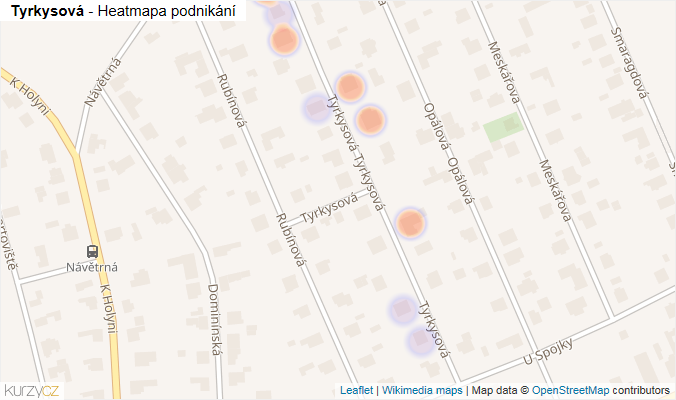 Mapa Tyrkysová - Firmy v ulici.
