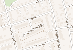 U jeslí v obci Praha - mapa ulice