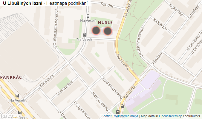 Mapa U Libušiných lázní - Firmy v ulici.