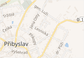 Lesnická v obci Přibyslav - mapa ulice