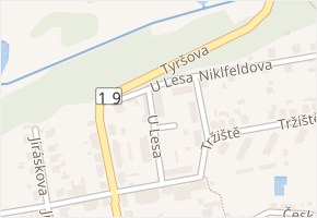 U Lesa v obci Přibyslav - mapa ulice