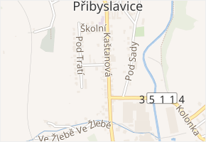 Kaštanová v obci Přibyslavice - mapa ulice