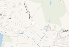 Březový háj v obci Proboštov - mapa ulice