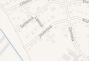Javorová v obci Proboštov - mapa ulice