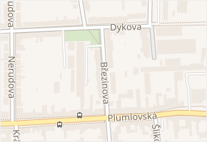 Březinova v obci Prostějov - mapa ulice