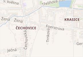 Duhová v obci Prostějov - mapa ulice