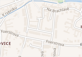 Rudolfa Těsnohlídka v obci Prostějov - mapa ulice