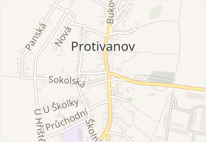 Ve Dvoře v obci Protivanov - mapa ulice