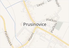 Bosna v obci Prusinovice - mapa ulice