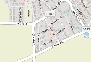 Jeřábová v obci Radonice - mapa ulice