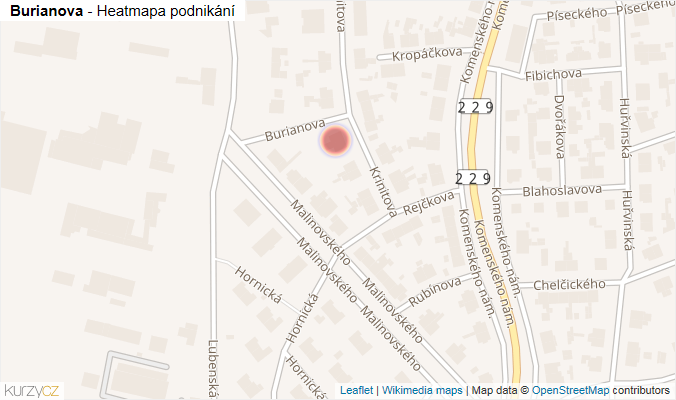 Mapa Burianova - Firmy v ulici.