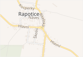 Padělky v obci Rapotice - mapa ulice