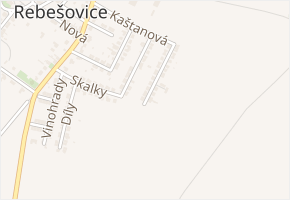 Kaštanová v obci Rebešovice - mapa ulice