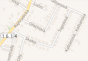 Ořechová v obci Rebešovice - mapa ulice