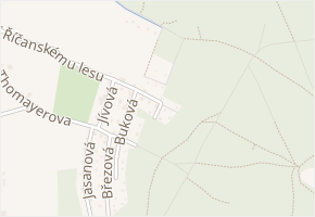 Javorová v obci Říčany - mapa ulice