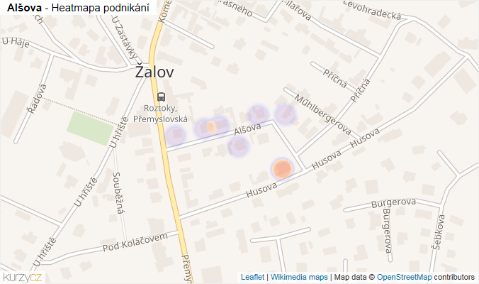 Mapa Alšova - Firmy v ulici.