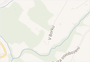 V Borku v obci Rtyně v Podkrkonoší - mapa ulice