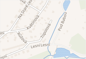 Topolová v obci Rudolfov - mapa ulice